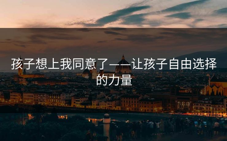 孩子想上我同意了——让孩子自由选择的力量 孩子想上我同意了——让孩子自由选择的力量